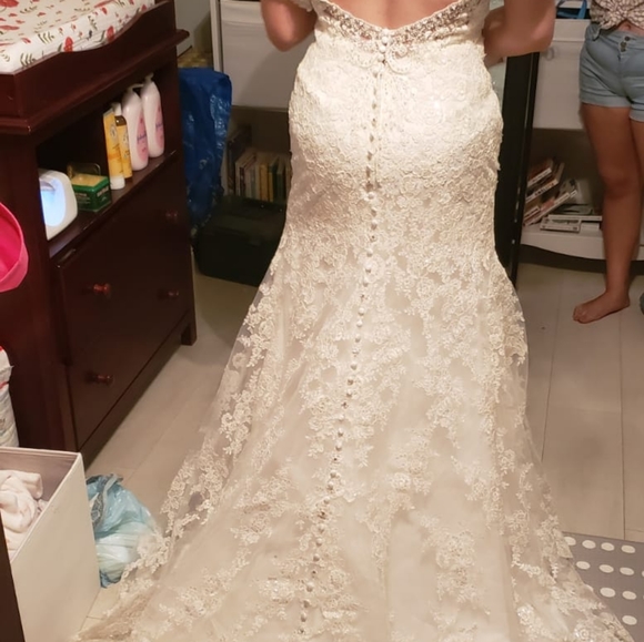 Wedding Dress / Gown - Picture 4 of 6